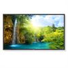 NEC Displays 52" 1080p Large-Screen LCD Display P521